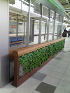 �e�l�`���b�s�[ �c�i����