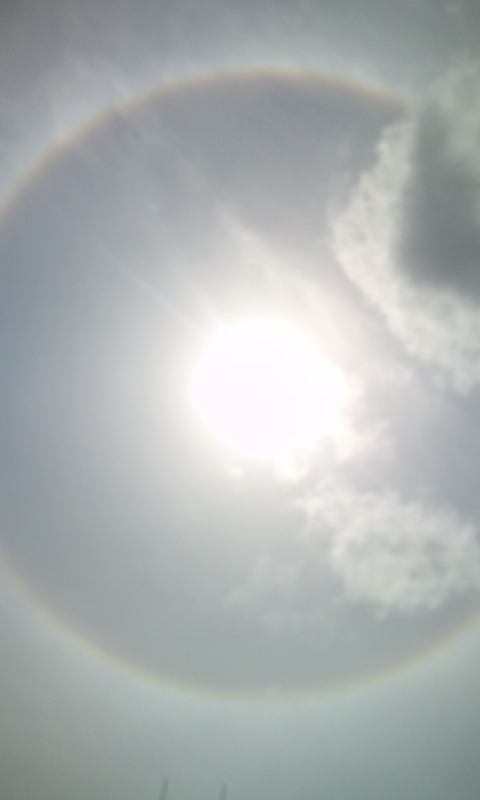 �e�l�`���b�s�[ �c�i����