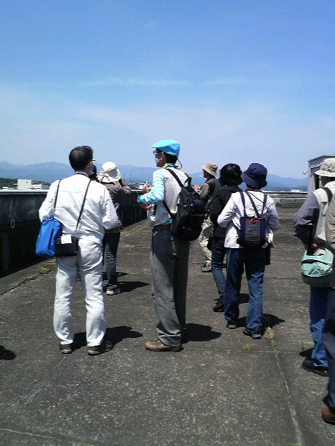 �e�l�`���b�s�[ �c�i����