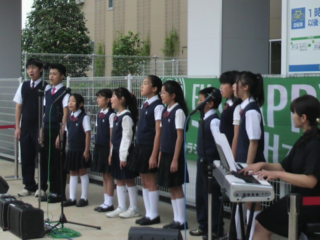 �e�l�`���b�s�[ �c�i����