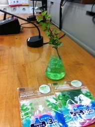 �e�l�`���b�s�[ �c�i����