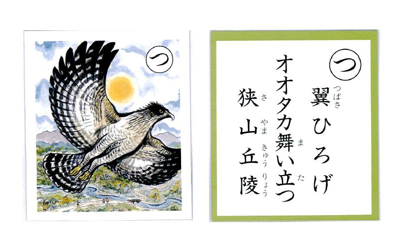 �e�l�`���b�s�[ �c�i����