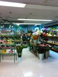 �e�l�`���b�s�[ �c�i����