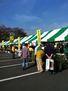 �e�l�`���b�s�[ �c�i����