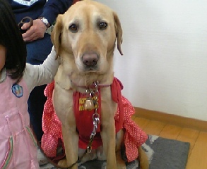 �e�l�`���b�s�[ �c�i����