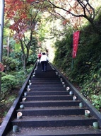 �e�l�`���b�s�[ �c�i����