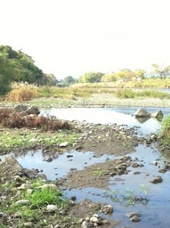 �e�l�`���b�s�[ �c�i����