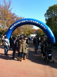 �e�l�`���b�s�[ �c�i����