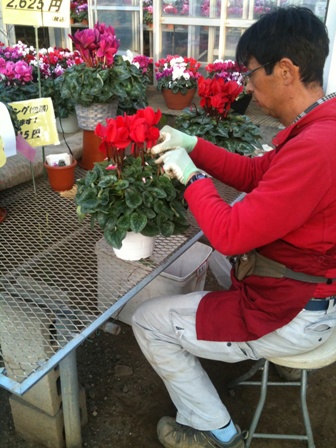 �e�l�`���b�s�[ �c�i����