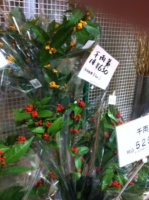 �e�l�`���b�s�[ �c�i����