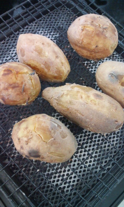 �e�l�`���b�s�[ �c�i����