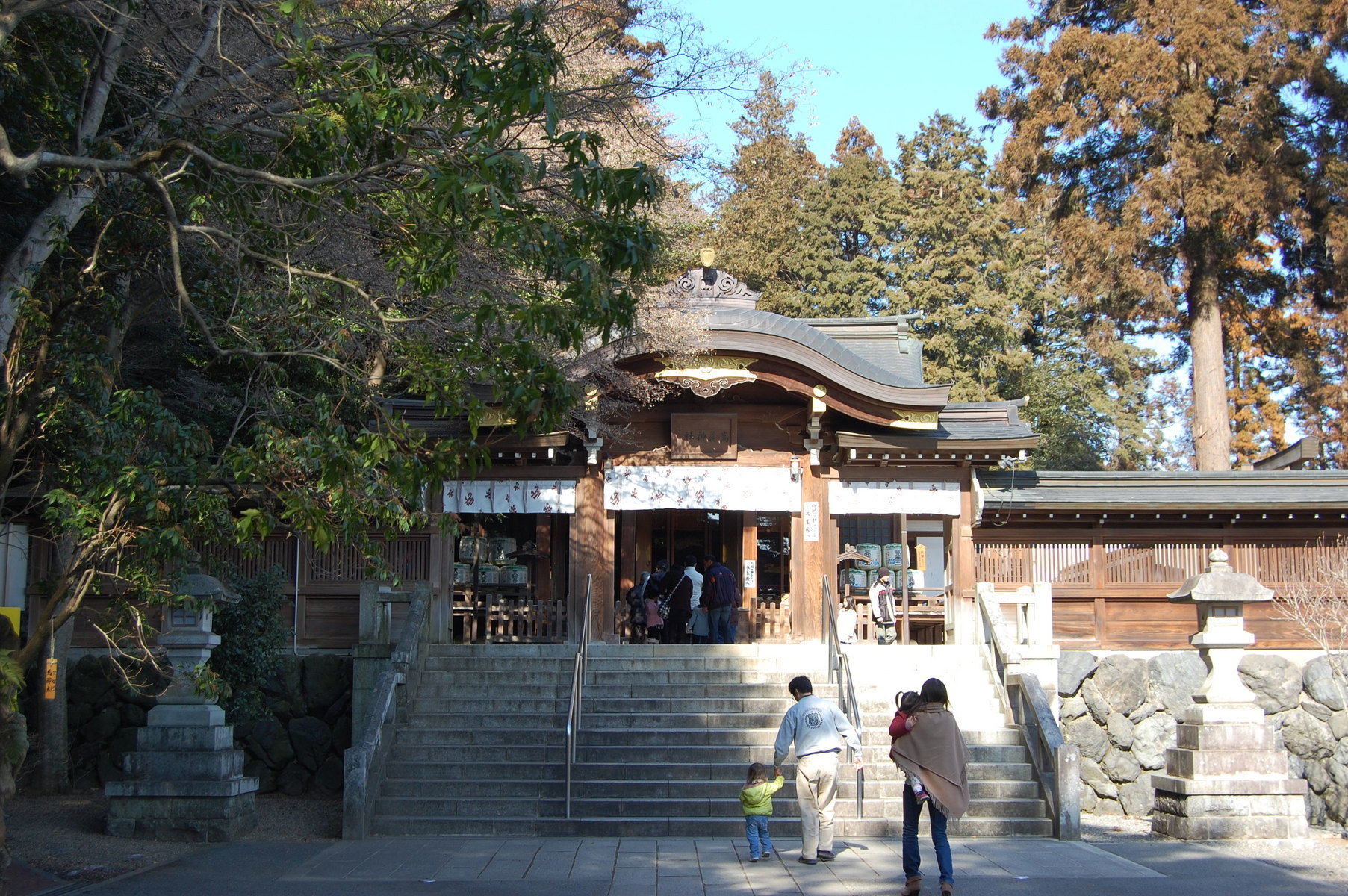 �e�l�`���b�s�[ �c�i����