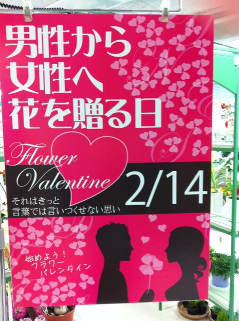 �e�l�`���b�s�[ �c�i����