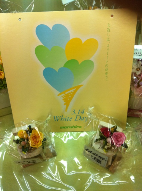 �e�l�`���b�s�[ �c�i����