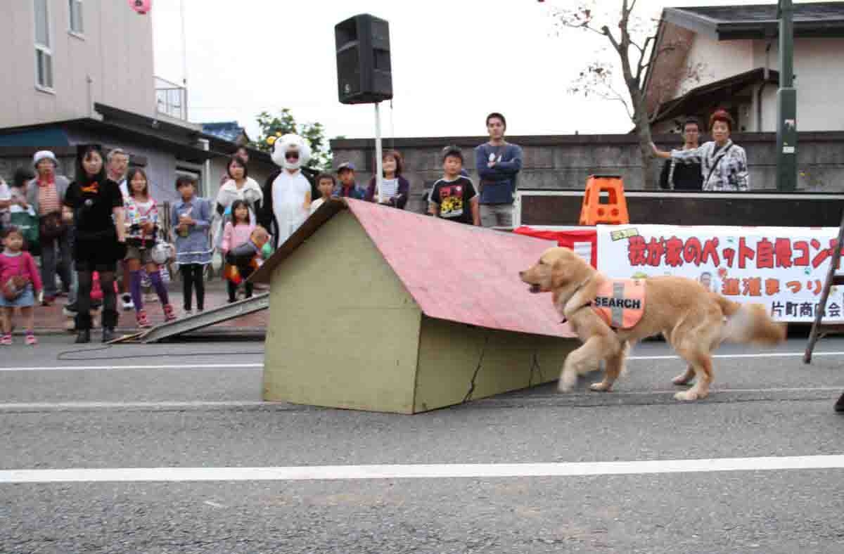 �e�l�`���b�s�[ �c�i����