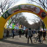 �e�l�`���b�s�[ �c�i����