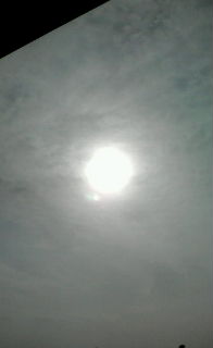 �e�l�`���b�s�[ �c�i����