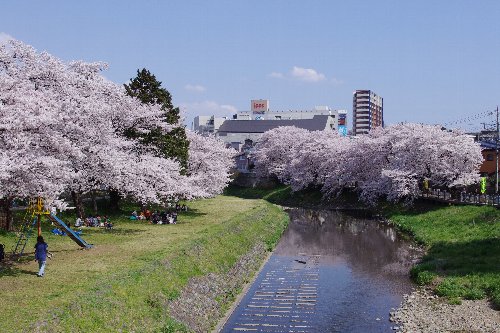 �e�l�`���b�s�[ �c�i����