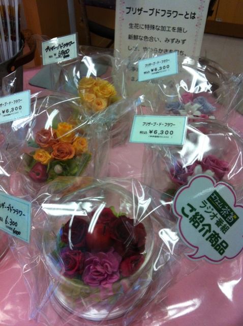 �e�l�`���b�s�[ �c�i����