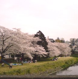 �e�l�`���b�s�[ �c�i����