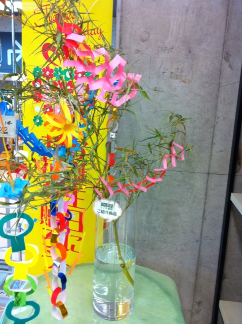 �e�l�`���b�s�[ �c�i����