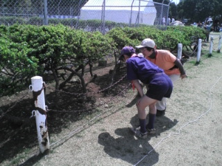 �e�l�`���b�s�[ �c�i����