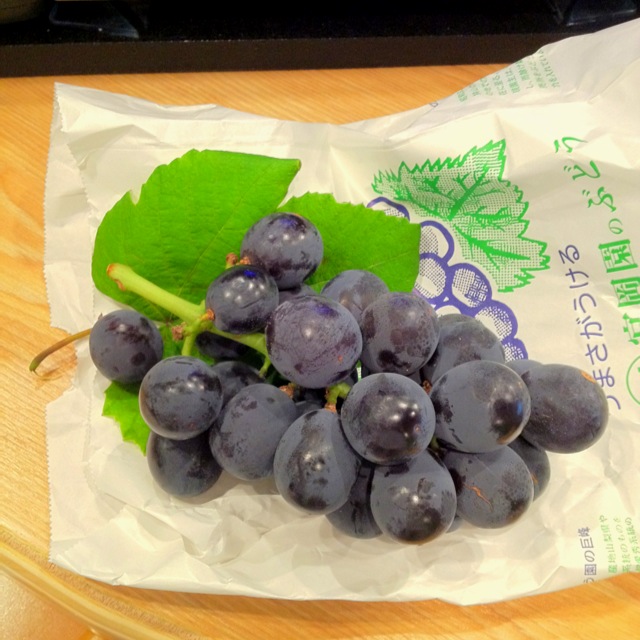 �e�l�`���b�s�[ �c�i����