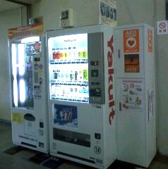 �e�l�`���b�s�[ �c�i����