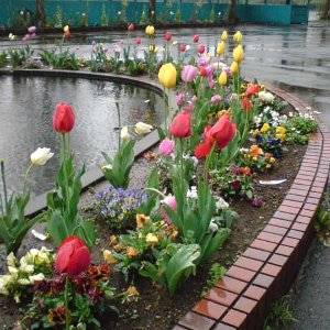 �e�l�`���b�s�[ �c�i����