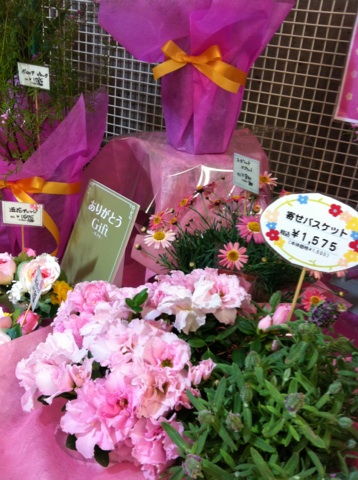 �e�l�`���b�s�[ �c�i����