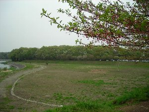 �e�l�`���b�s�[ �c�i����