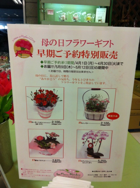 �e�l�`���b�s�[ �c�i����