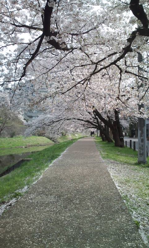 �e�l�`���b�s�[ �c�i����