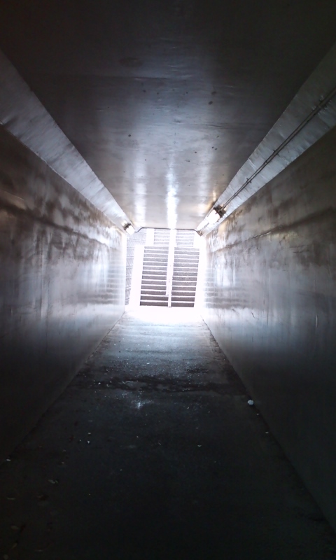 �e�l�`���b�s�[ �c�i����