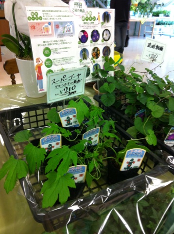 �e�l�`���b�s�[ �c�i����