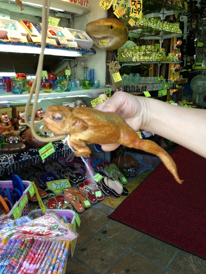 �e�l�`���b�s�[ �c�i����