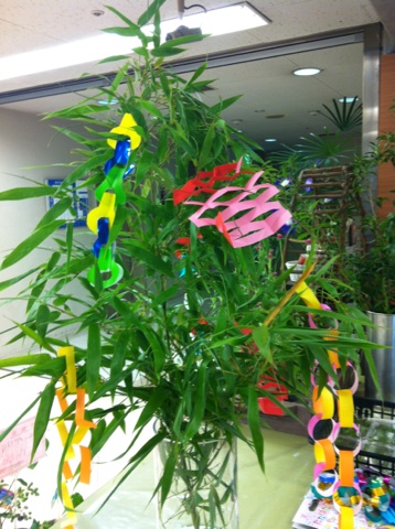 �e�l�`���b�s�[ �c�i����