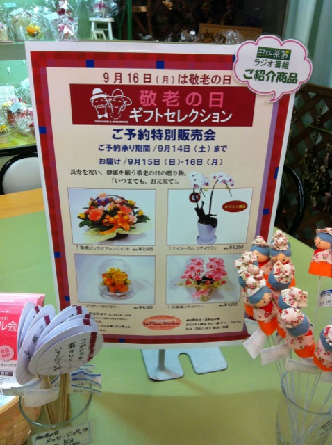 �e�l�`���b�s�[ �c�i����