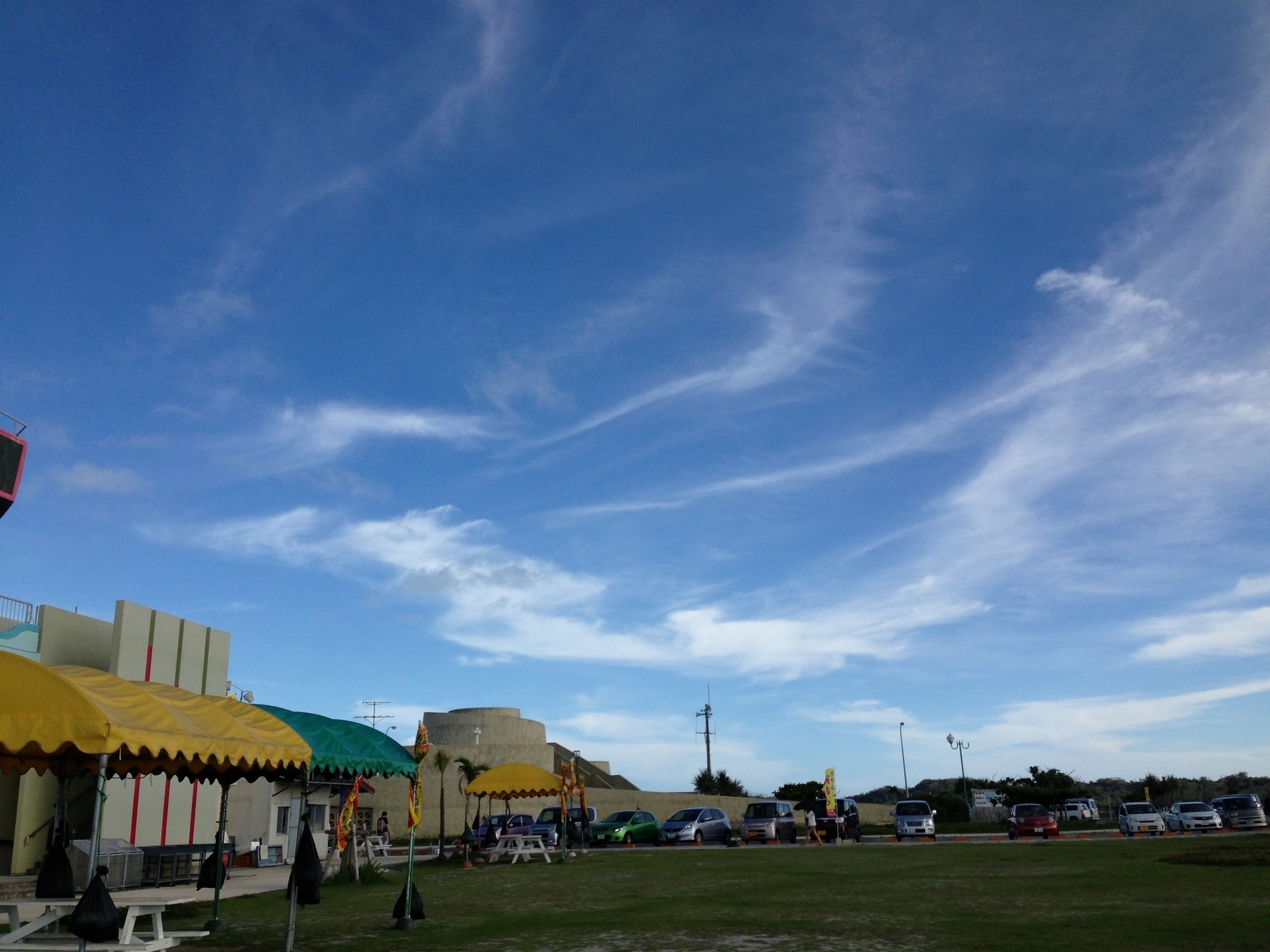 �e�l�`���b�s�[ �c�i����