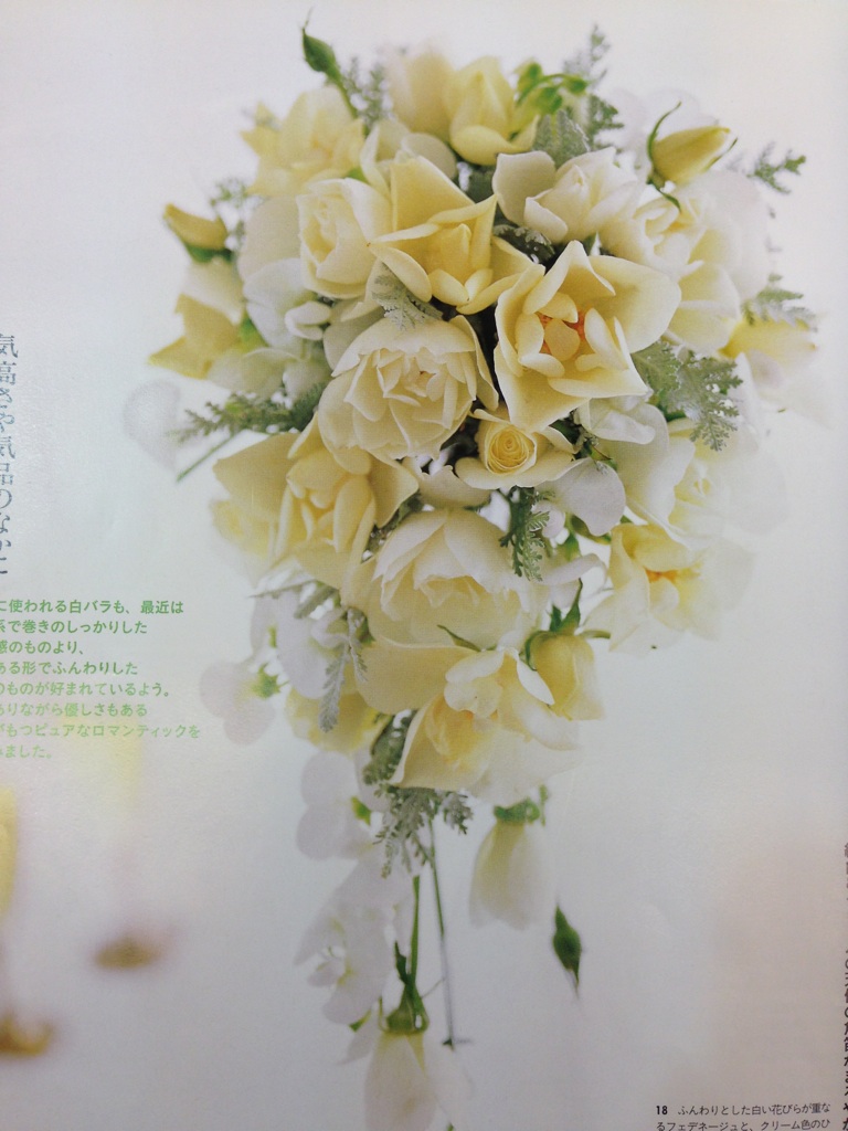 �e�l�`���b�s�[ �c�i����