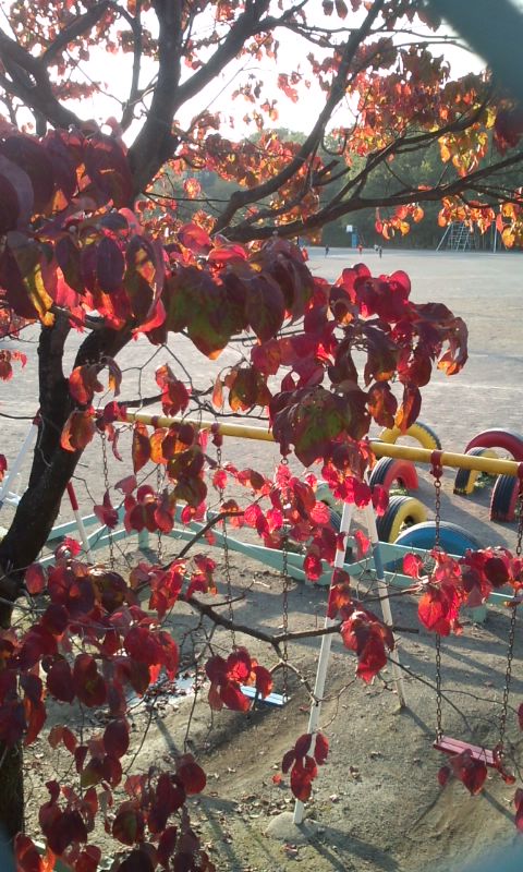 �e�l�`���b�s�[ �c�i����