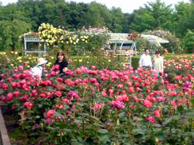 �e�l�`���b�s�[ �c�i����