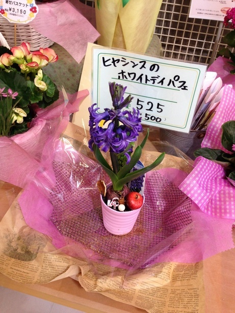 �e�l�`���b�s�[ �c�i����