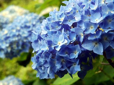 �e�l�`���b�s�[ �c�i����