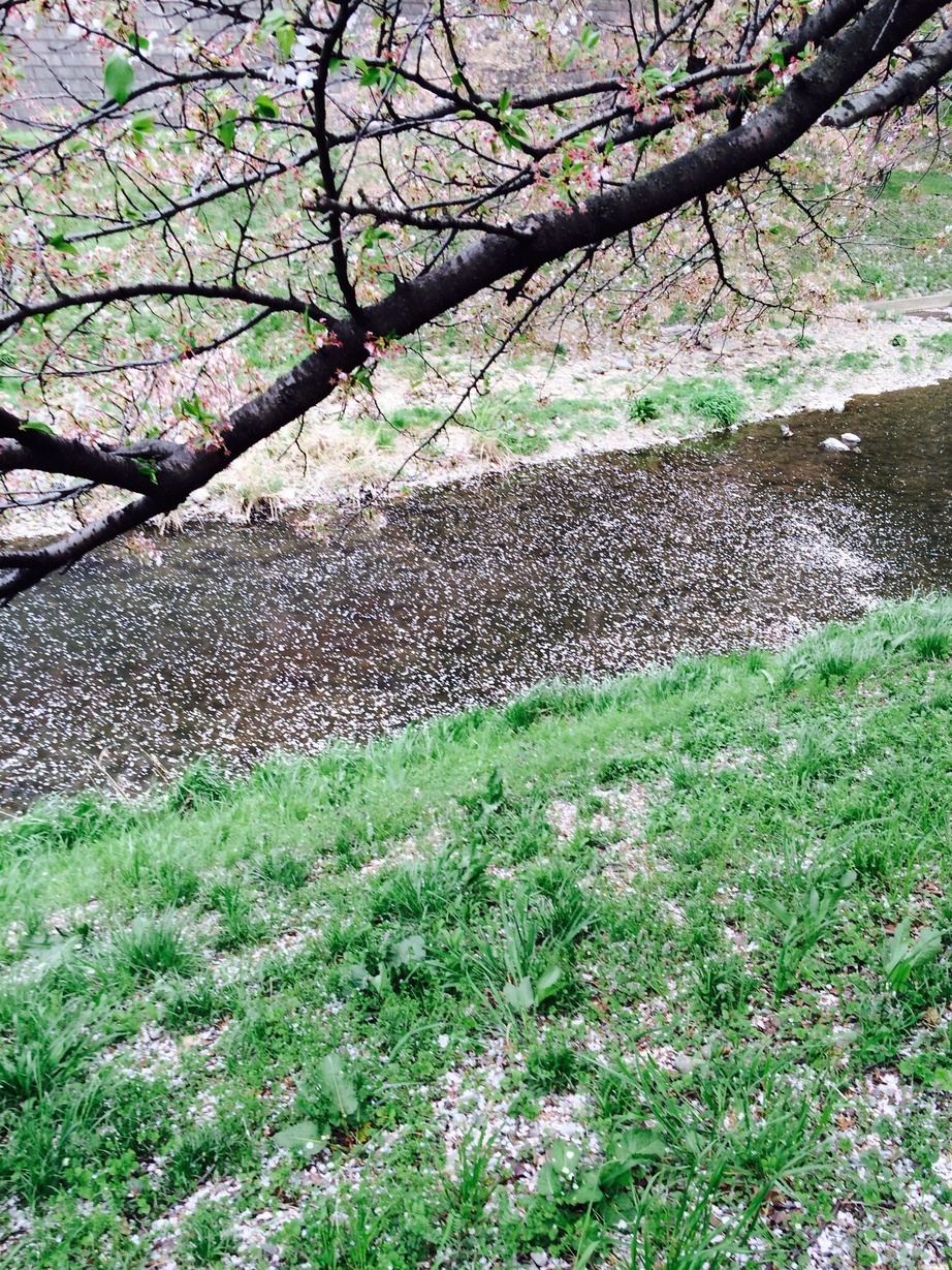 �e�l�`���b�s�[ �c�i����