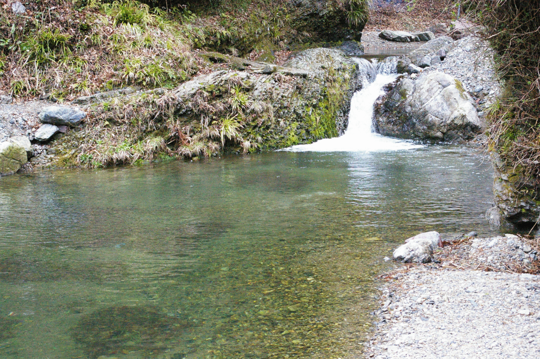 �e�l�`���b�s�[ �c�i����