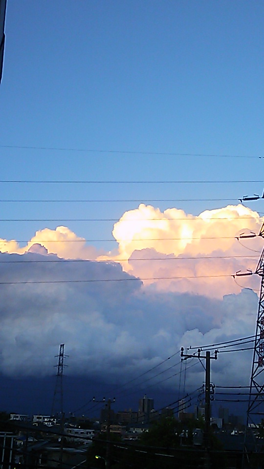 �e�l�`���b�s�[ �c�i����