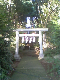 �e�l�`���b�s�[ �c�i����