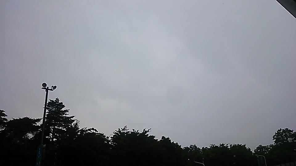 �e�l�`���b�s�[ �c�i����