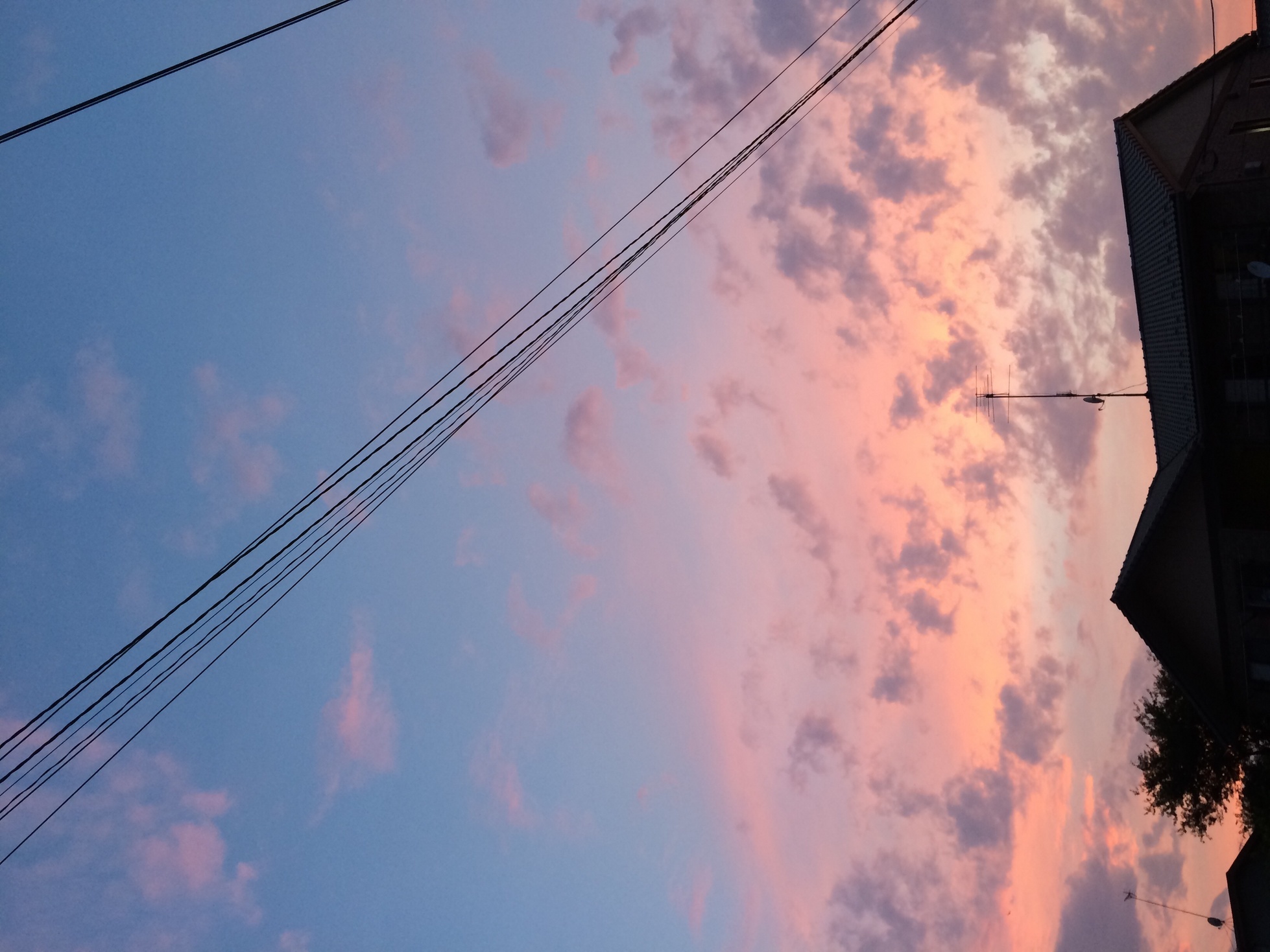 �e�l�`���b�s�[ �c�i����